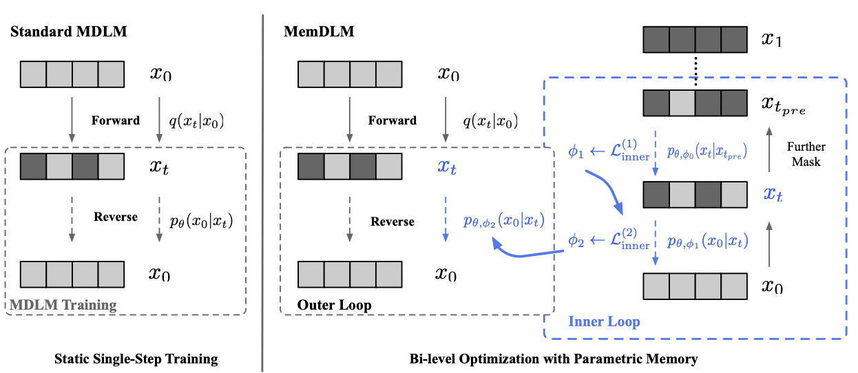 MemDLM framework